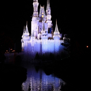 Cinderella-Castle-54