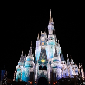 Cinderella-Castle-57