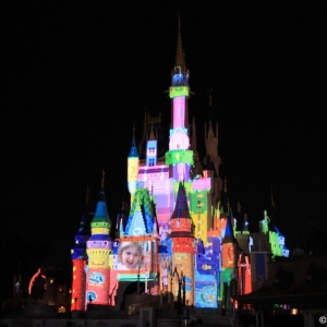 Cinderella-Castle-60