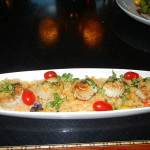 Scallops