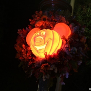 MNSSHP-2012-33