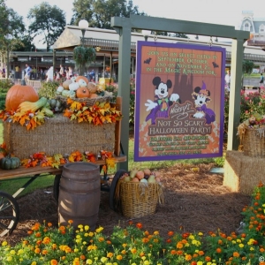 MNSSHP-2012-38