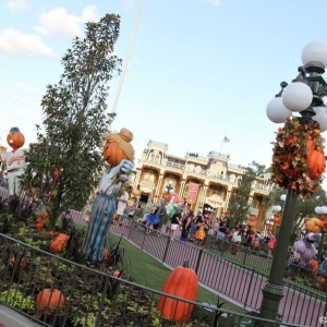 MNSSHP-2012-39