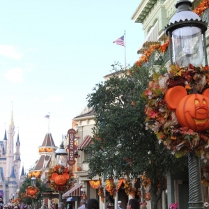 MNSSHP-2012-40