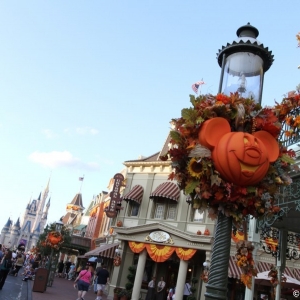 MNSSHP-2012-41