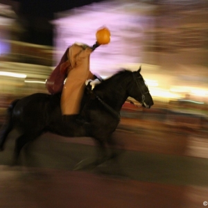 MNSSHP-2012-49