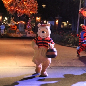 MNSSHP-2012-54