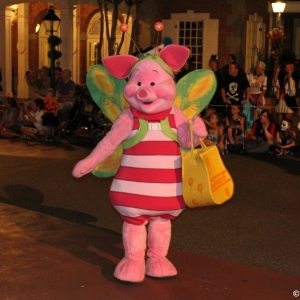 MNSSHP-2012-56