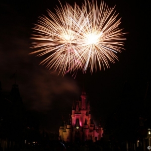 MNSSHP-2012-89