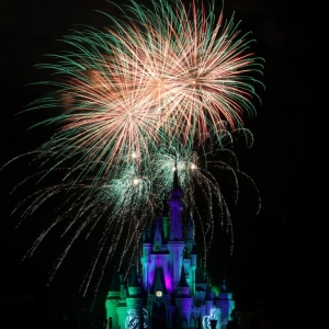 MNSSHP-2012-91