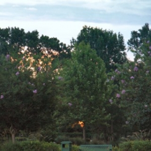36_640x480_