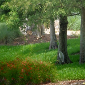 WDW53_640x480_