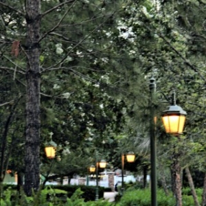 WDW57_640x480_