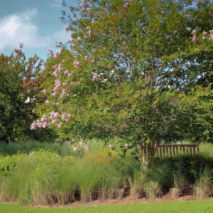 the_garden_of_saratoga_springs_disney_resort_640x480_