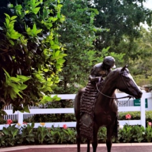 wdw62_640x480_
