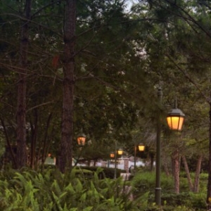 wdw66_640x480_