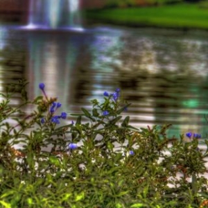 wdw71_640x480_