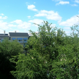 BWV Garden/Pool View