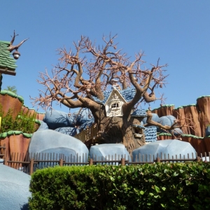 Chip 'n Dale Treehouse, 20-Aug-2012