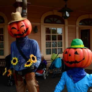 Media 'DisneylandParis-4572' in category 'Frontierland'