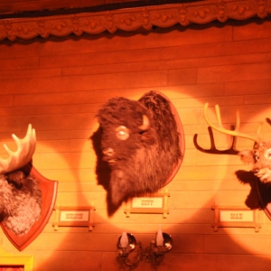 countrybear0010