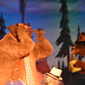 countrybear0021