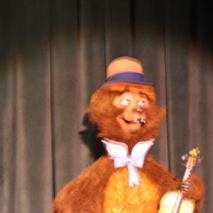 countrybear0028