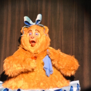 countrybear0038