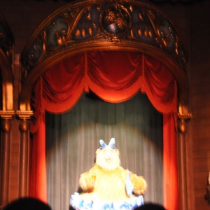 countrybear0040