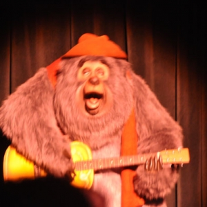 countrybear0079