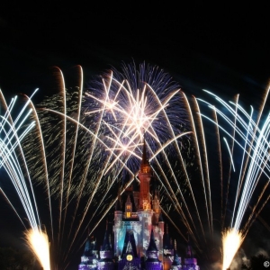 MVMCP-Fireworks-2012-003