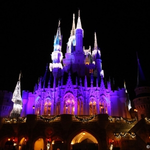 MVMCP-2012-023