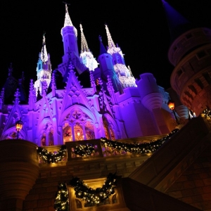 MVMCP-2012-024