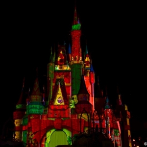 Media 'CelebrateTheMagic-_44' in category ''Celebrate The Magic' Nighttime Show'