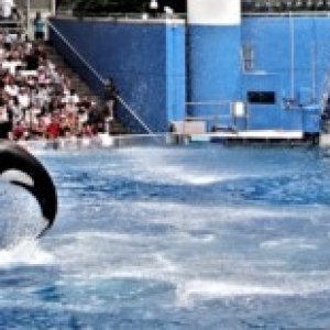 sea_world_10