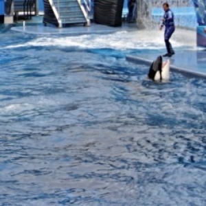 sea_world_11