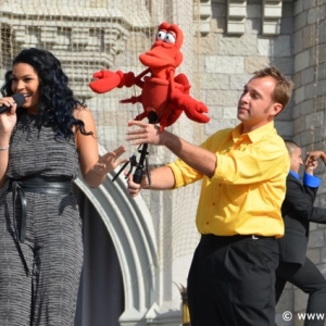 Media 'FantasyLandEvent-24' in category 'New Fantasyland Opening Celebration'