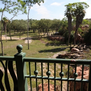 Animal-Kingdom-Lodge-Room-020