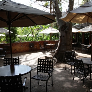 Media 'Mara-018' in category 'Dining and Restaurants'