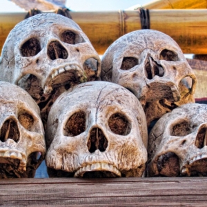 Skulls