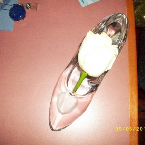 Engagement Glass Slipper