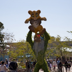 Epcot-Flower-Garden-2013-014