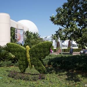 Media 'Epcot-Flower-Garden-2013-015' in category '2013 Flower and Garden Festival'