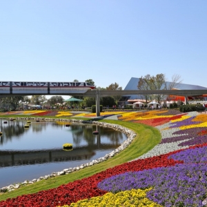 Epcot-Flower-Garden-2013-023