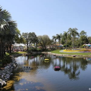 Epcot-Flower-Garden-2013-025