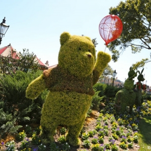 Epcot-Flower-Garden-2013-037