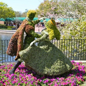 Epcot-Flower-Garden-2013-039