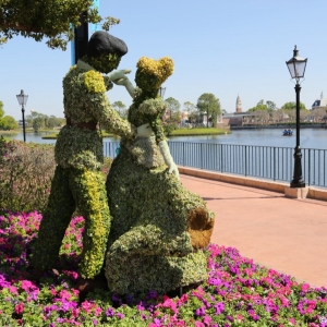 Epcot-Flower-Garden-2013-040