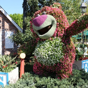 Epcot-Flower-Garden-2013-057