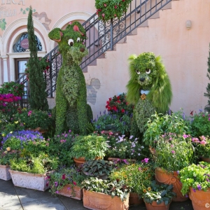 Epcot-Flower-Garden-2013-059